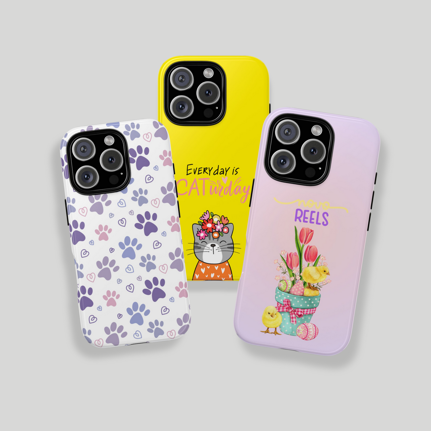 Pawfect Picks 🐾