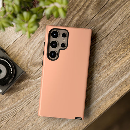 Terracotta tough cases